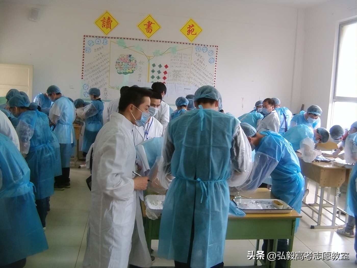 动物医学这个专业怎么样,动物医学专业可以报考哪些公务员