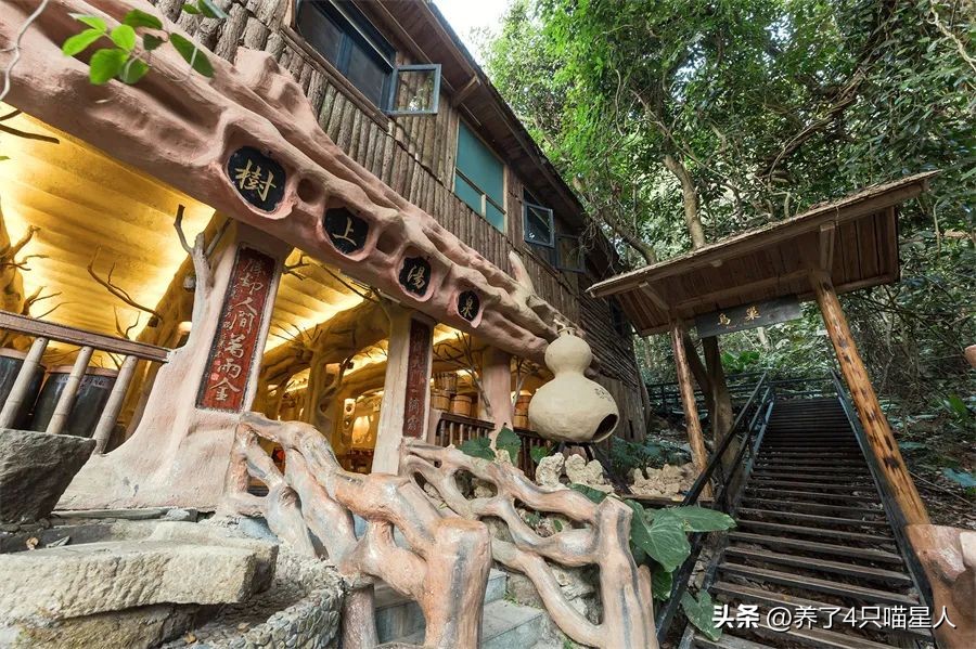 英德野渡谷轻奢民宿,清远住在山里的民宿