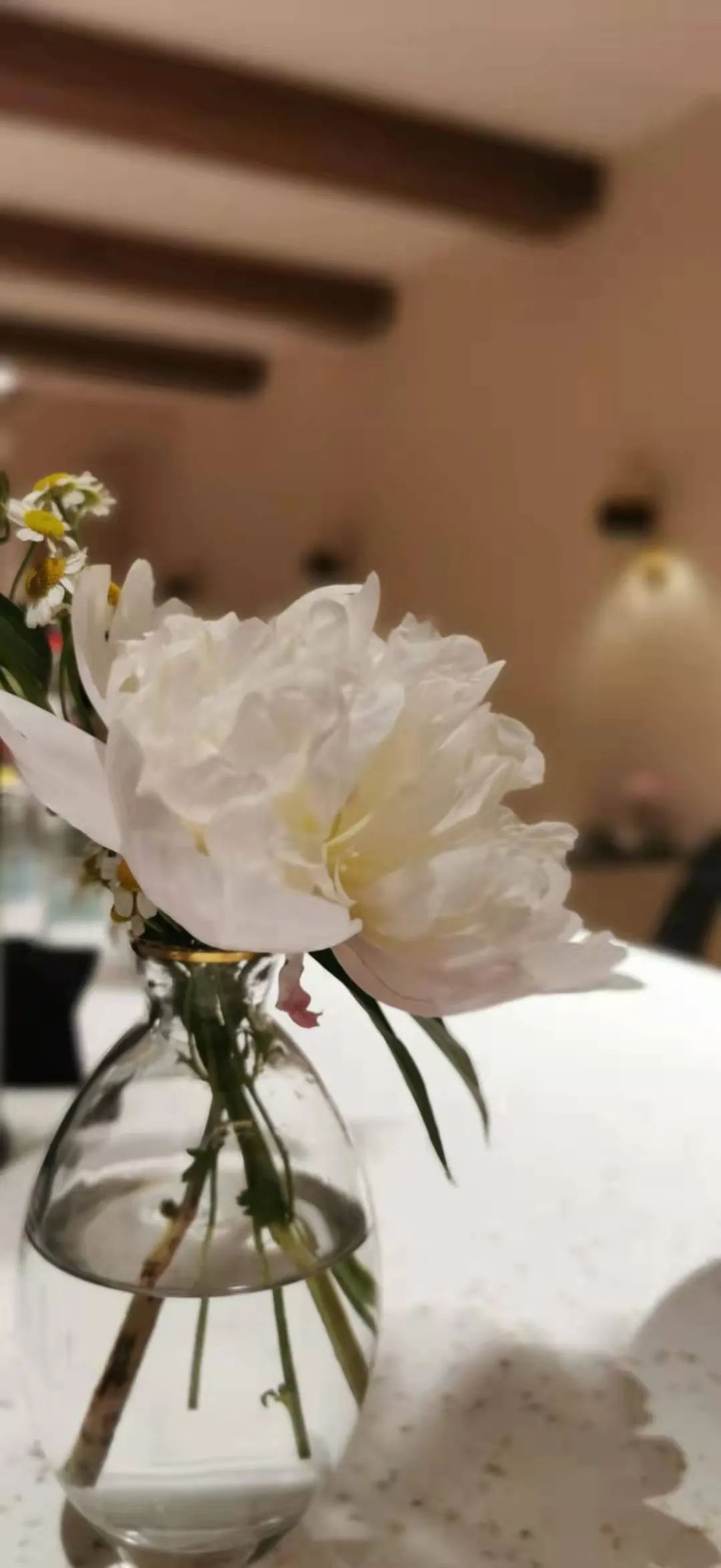 璁捐鏈夎寖璁捐,璁捐鏈夎寖