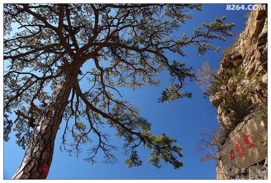 晋善晋美短视频,晋善晋美舞蹈视频