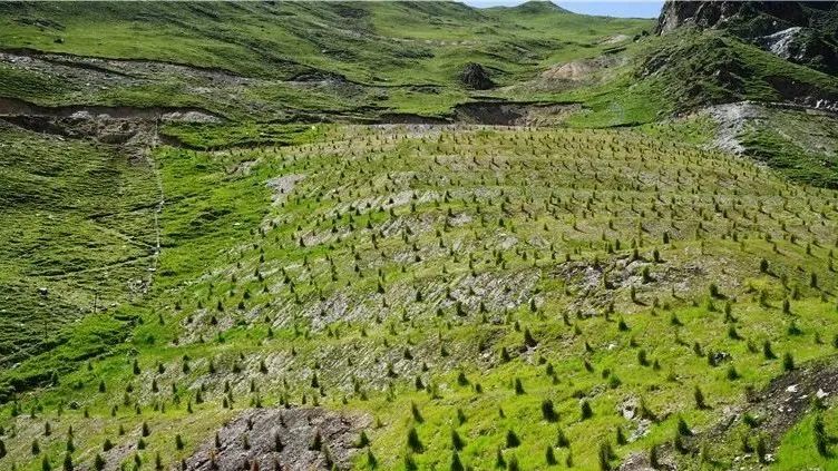 璁插ソ娴峰寳鏁呬簨浼犳挱娴峰寳澹伴煶,娴峰寳鐨勬柊鍙樺寲