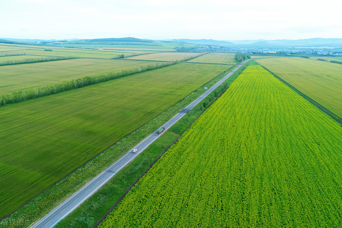 小田变大田在哪试点,小田变大田政策什么时候有的