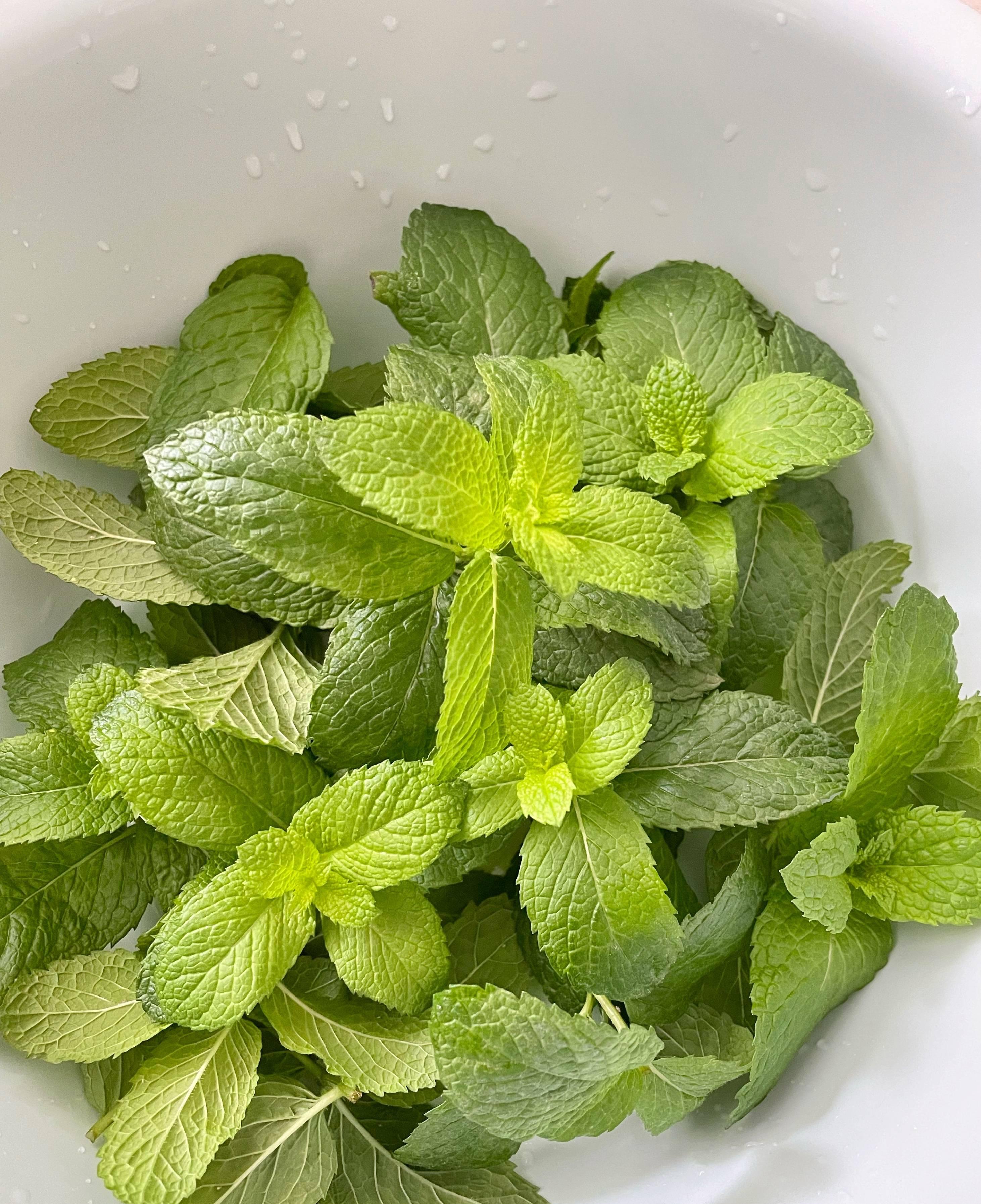 养薄荷的方法技巧适用什么肥,养薄荷叶的方法