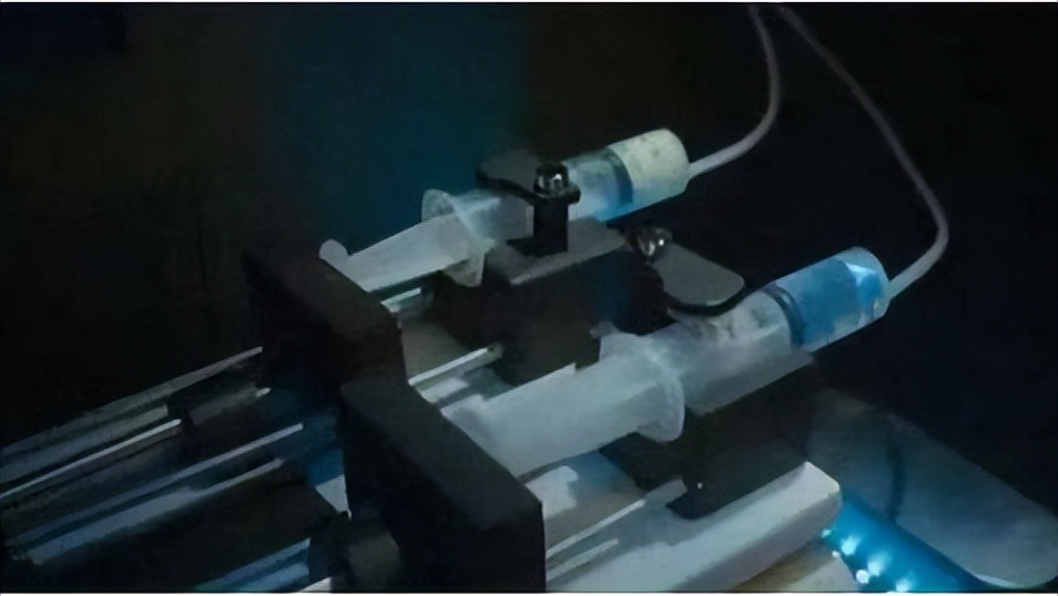 从胡长清被5枪毙命到文强被执行注射，中间发生了什么？