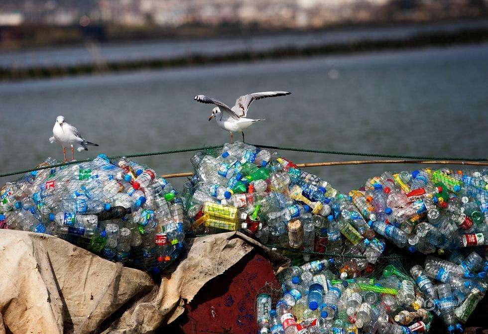 山东66岁老人自办活人出殡,山东省一位66岁老人办活人葬礼