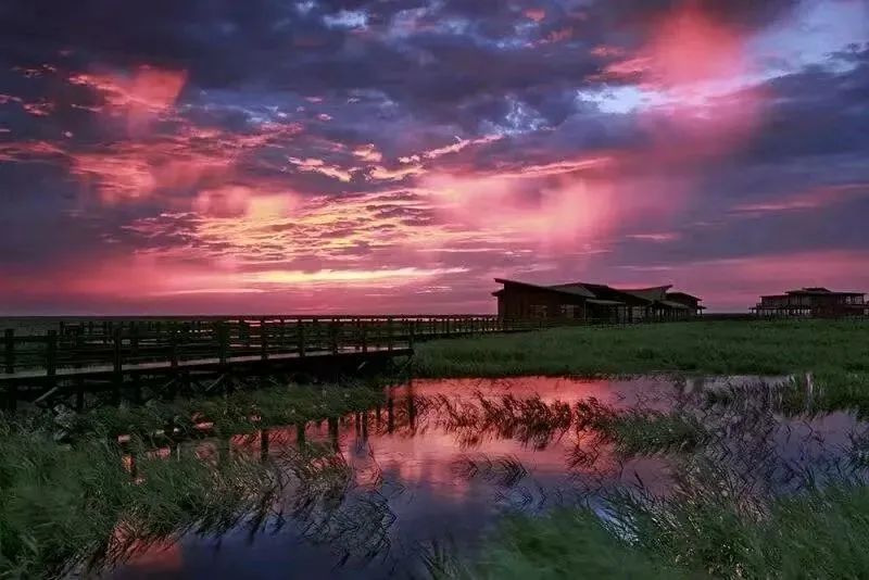 小布摄影团丨魔都夜生活的N种打开方式，快收藏起来→