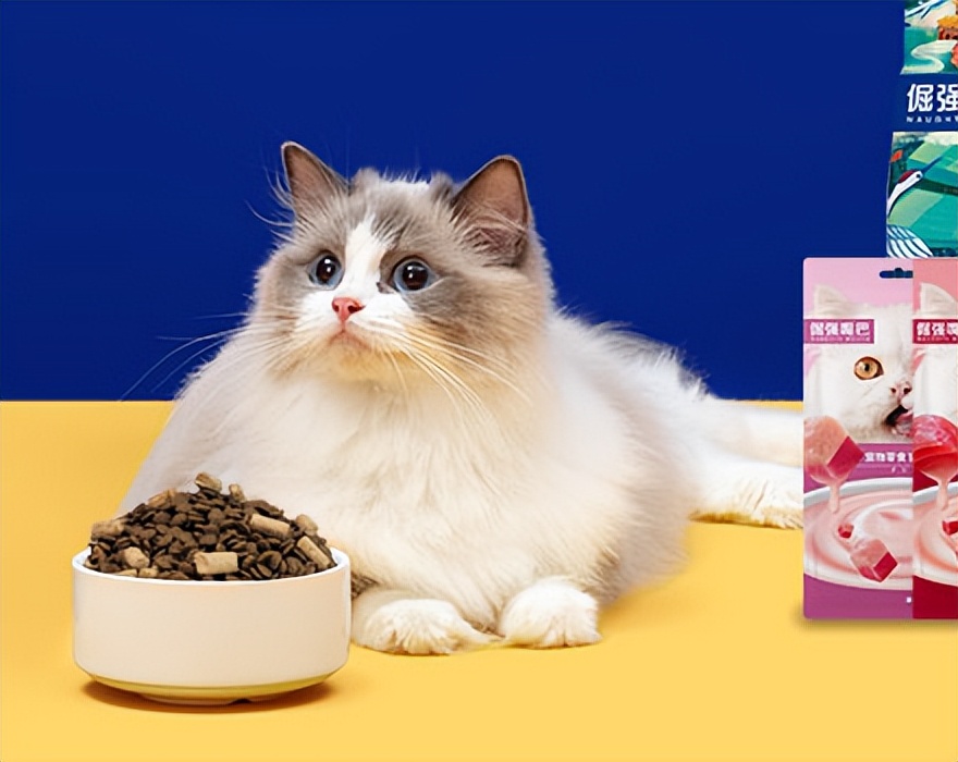 朝云集团业绩暴跌宠物板块异军突起，花500多万收购老板资产