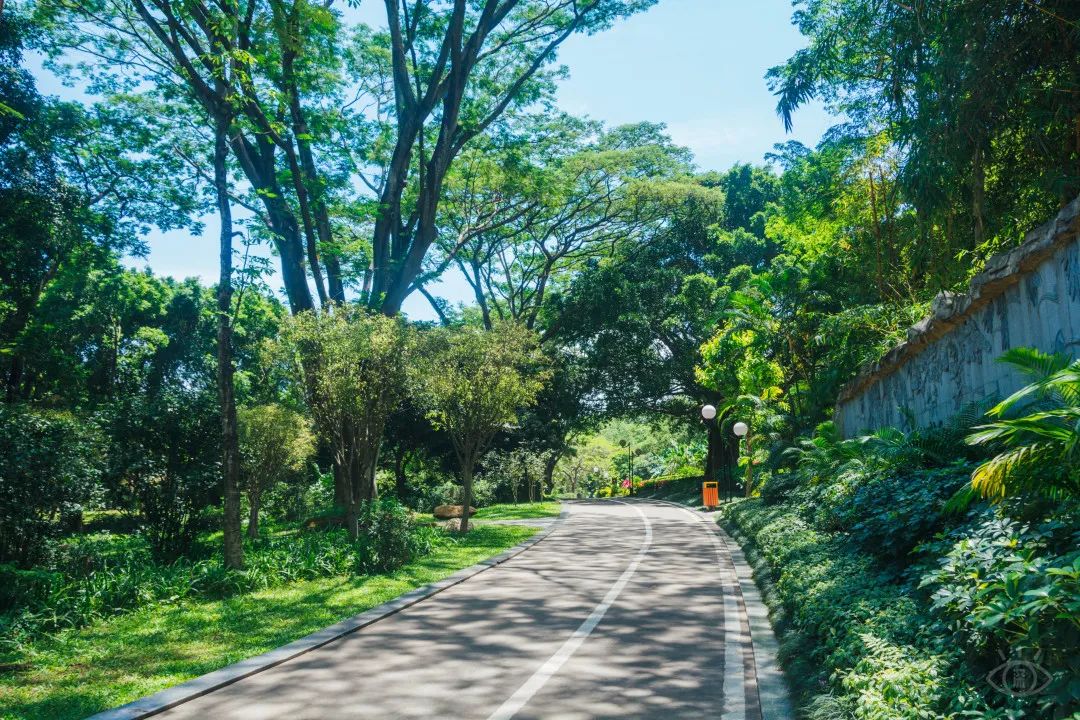 深圳地铁五号线十号线游玩地点,深圳地铁12号线最新最全线路图