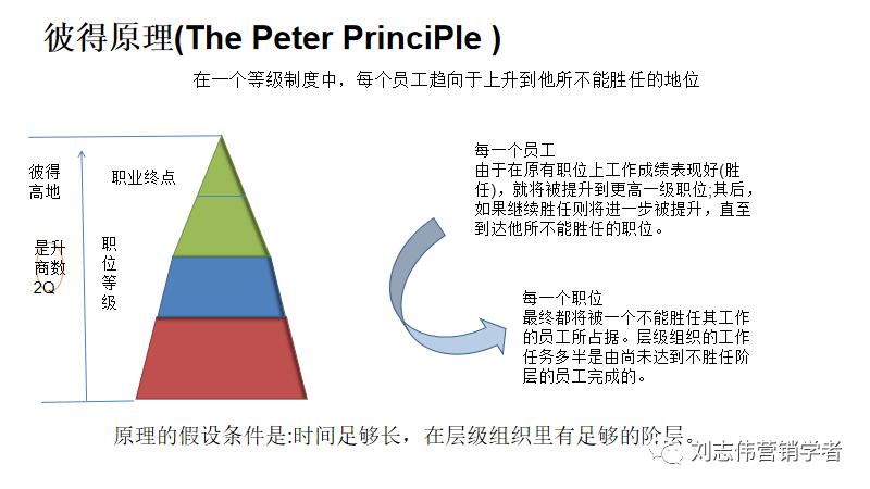 员工职业生涯规划ppt模板,职业生涯规划课件完整版ppt