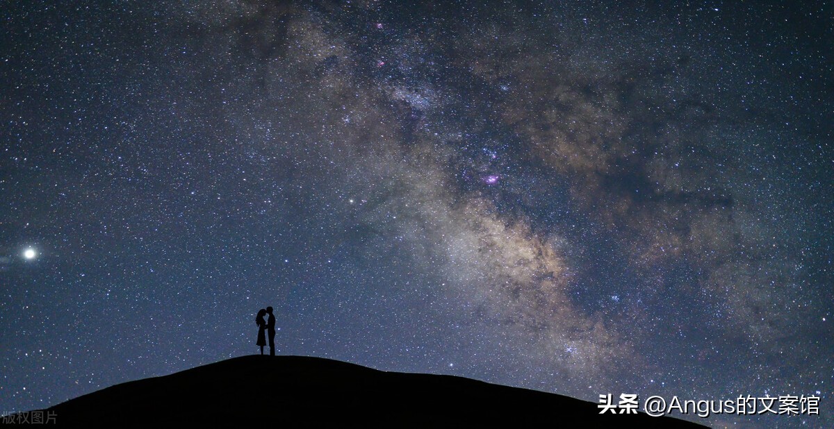 情人节表白语录经典短句文案,情人节表白文案搞笑霸气