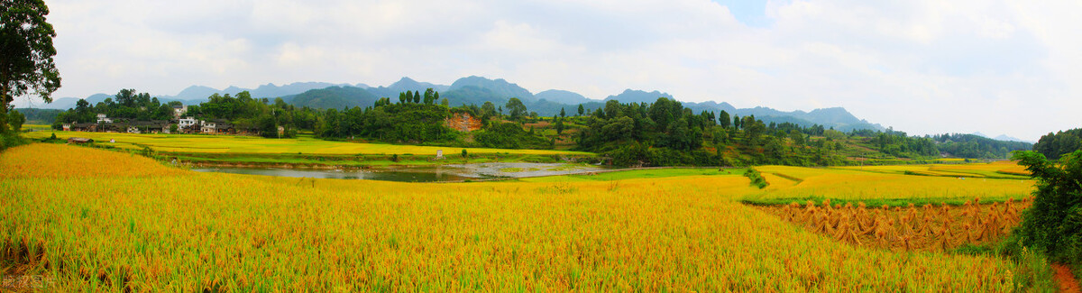 家长里短:黑眼睛见不得白银子,他挖了一个土堆这下可不得了了
