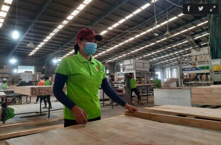 太难了！越南工厂订单骤减，大批农民工返乡，在城里只能摘野菜吃