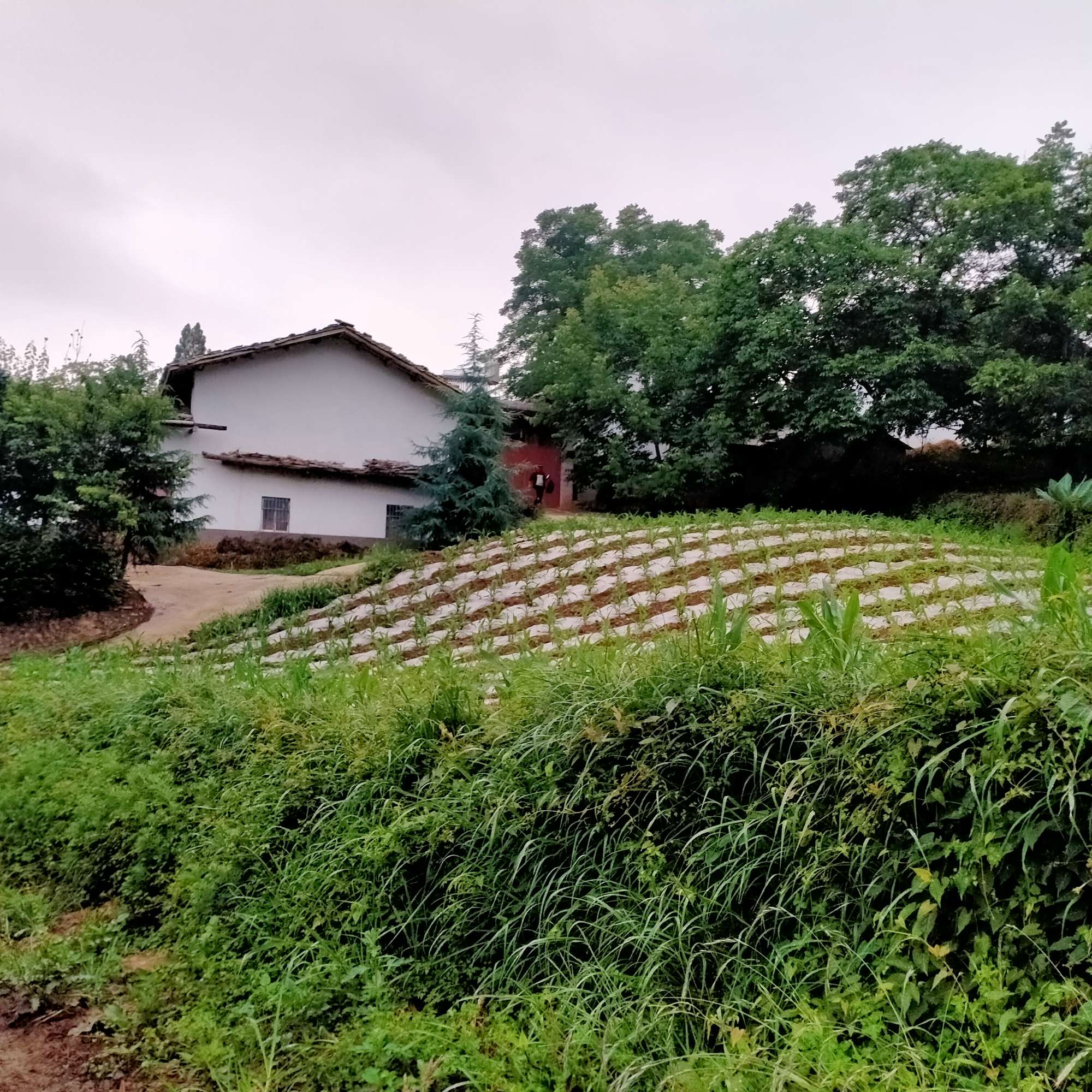 多想一觉醒来，我还是那个赖床的孩子