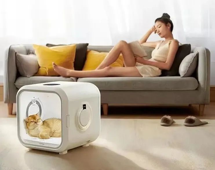 宠物智能用品能否成为新蓝海,新宠物智能产品有哪些