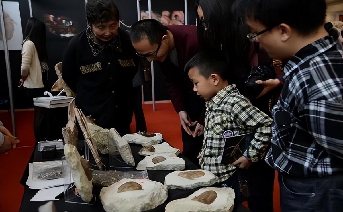 河沟捡熊猫奇石,捡到国宝熊猫奇石