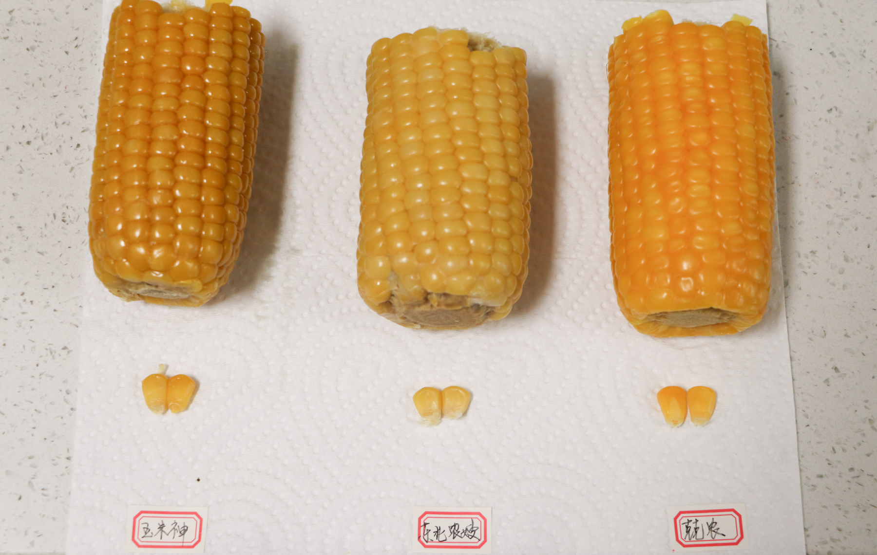糯玉米推荐测评,甜糯玉米哪个品种最好吃