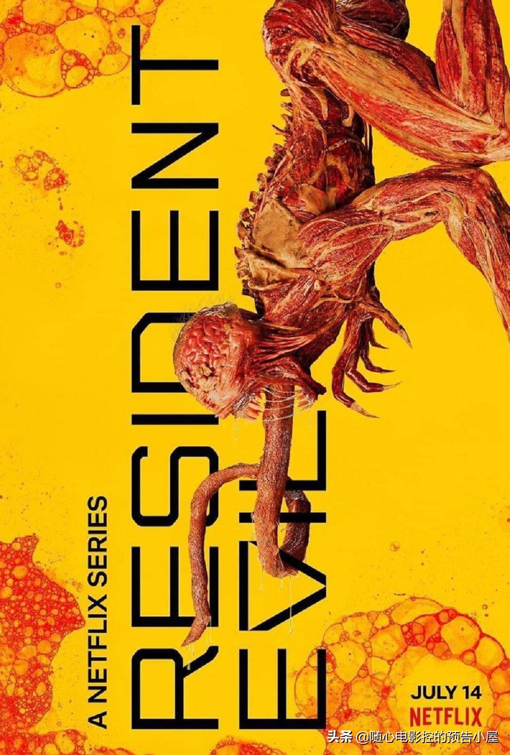 8月16日上线新片汇总,4月17日上线新片汇总