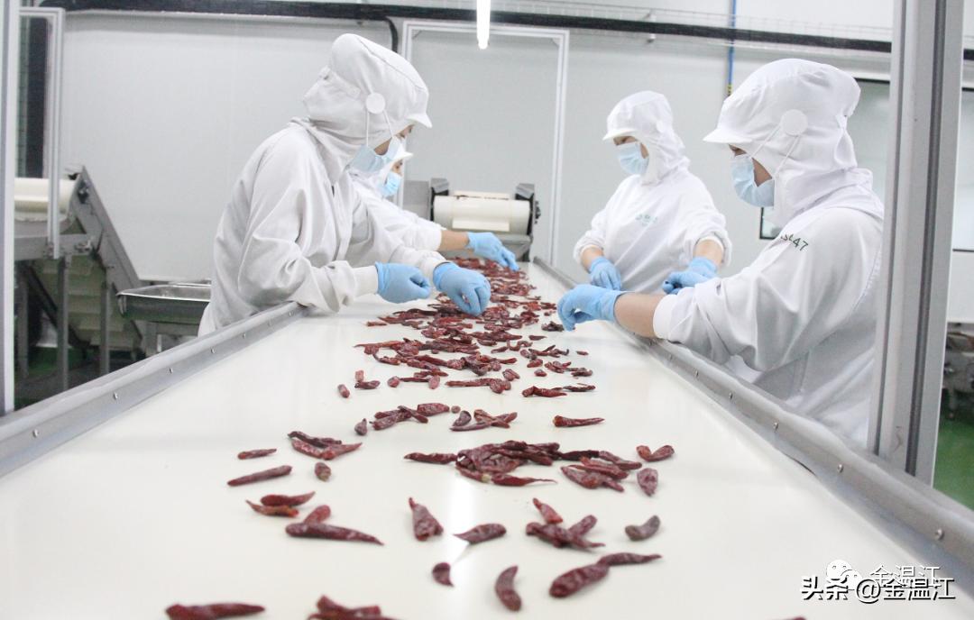 温江建设推介,温江绿色食品产业