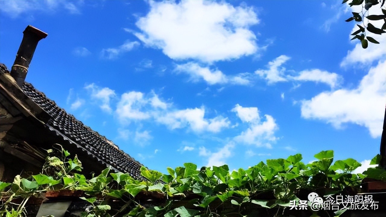 海阳避暑排名第一,山东海阳适合避暑的山村