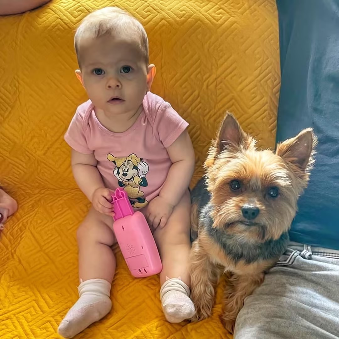 适合家养的最好养的小型宠物狗,最适合儿童饲养的十种宠物狗一览