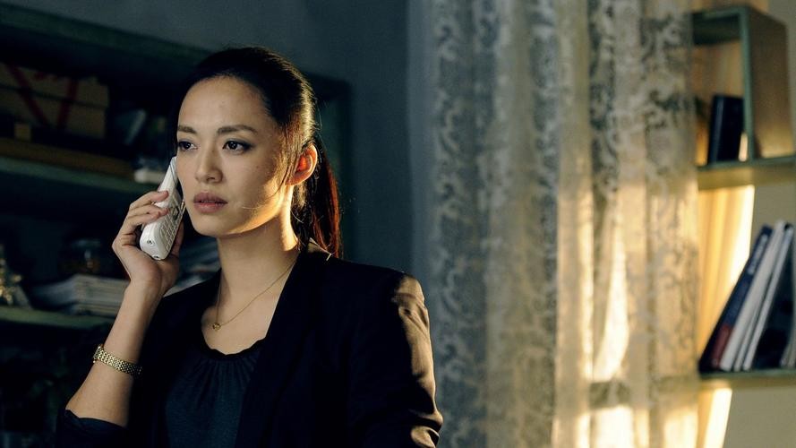 陈凯歌网络暴力的电影,陈凯歌讲述网络暴力的电影