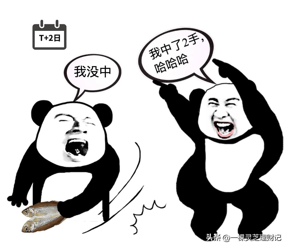 【可转债投资知识64】套“套利者”的利抢跑配股套利必懂发行流程