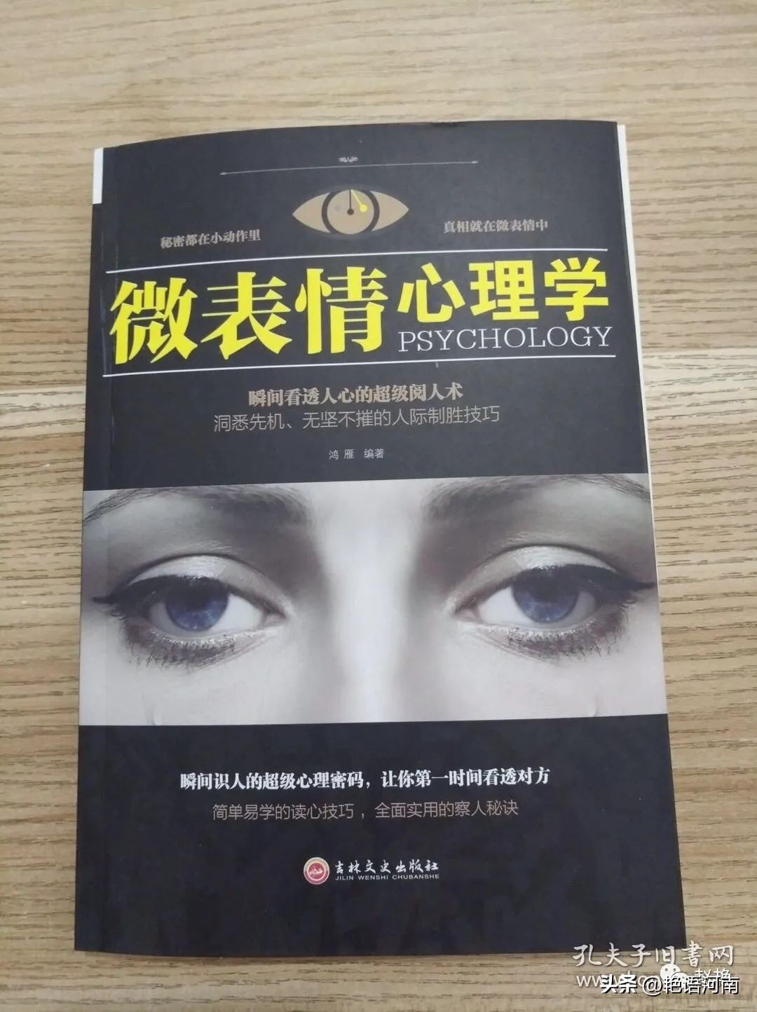 两只悠闲自在的乌龟,两只互动性很强的小乌龟