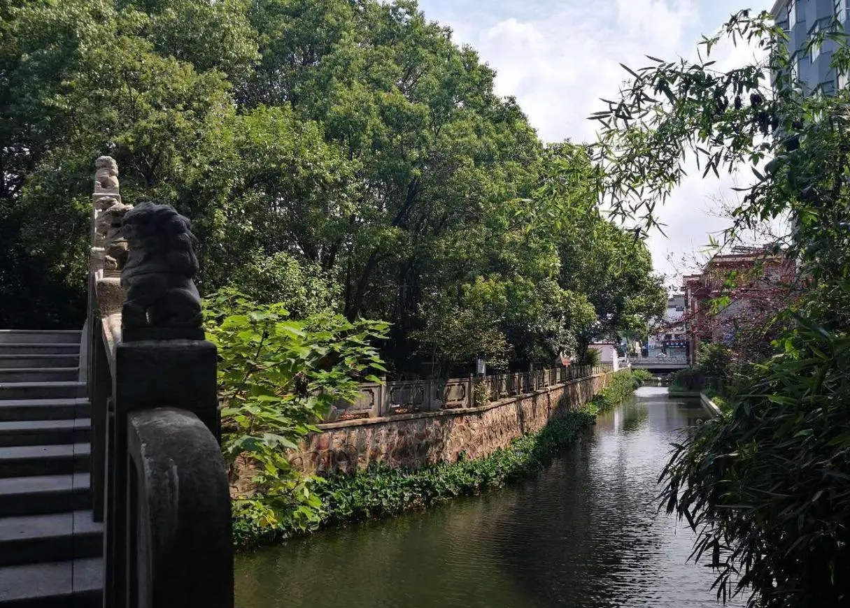 宜兴和桥建湿地公园,宜兴和桥公园