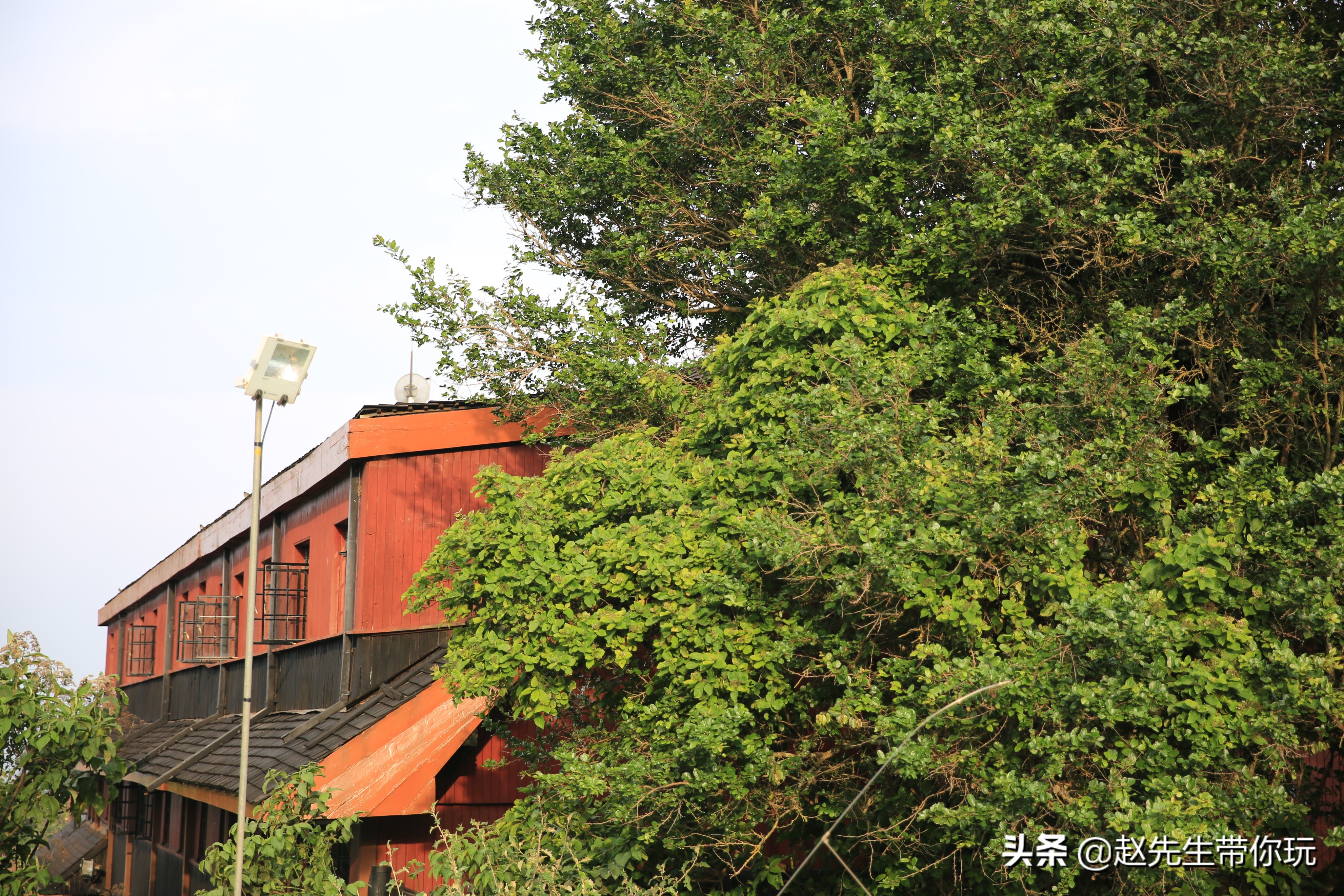 二十年游历分享之202:非洲19:肯尼亚18尼耶利的方舟酒店