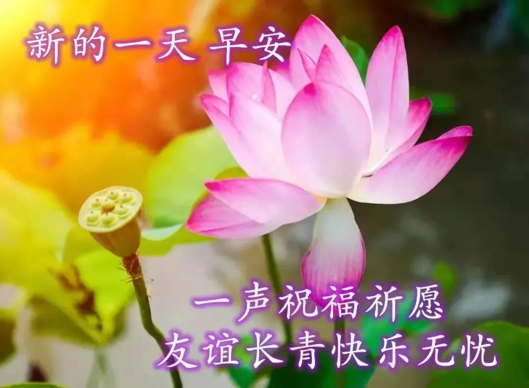 早晨问候朋友早上好动态图片,早晨好图片微信祝福语