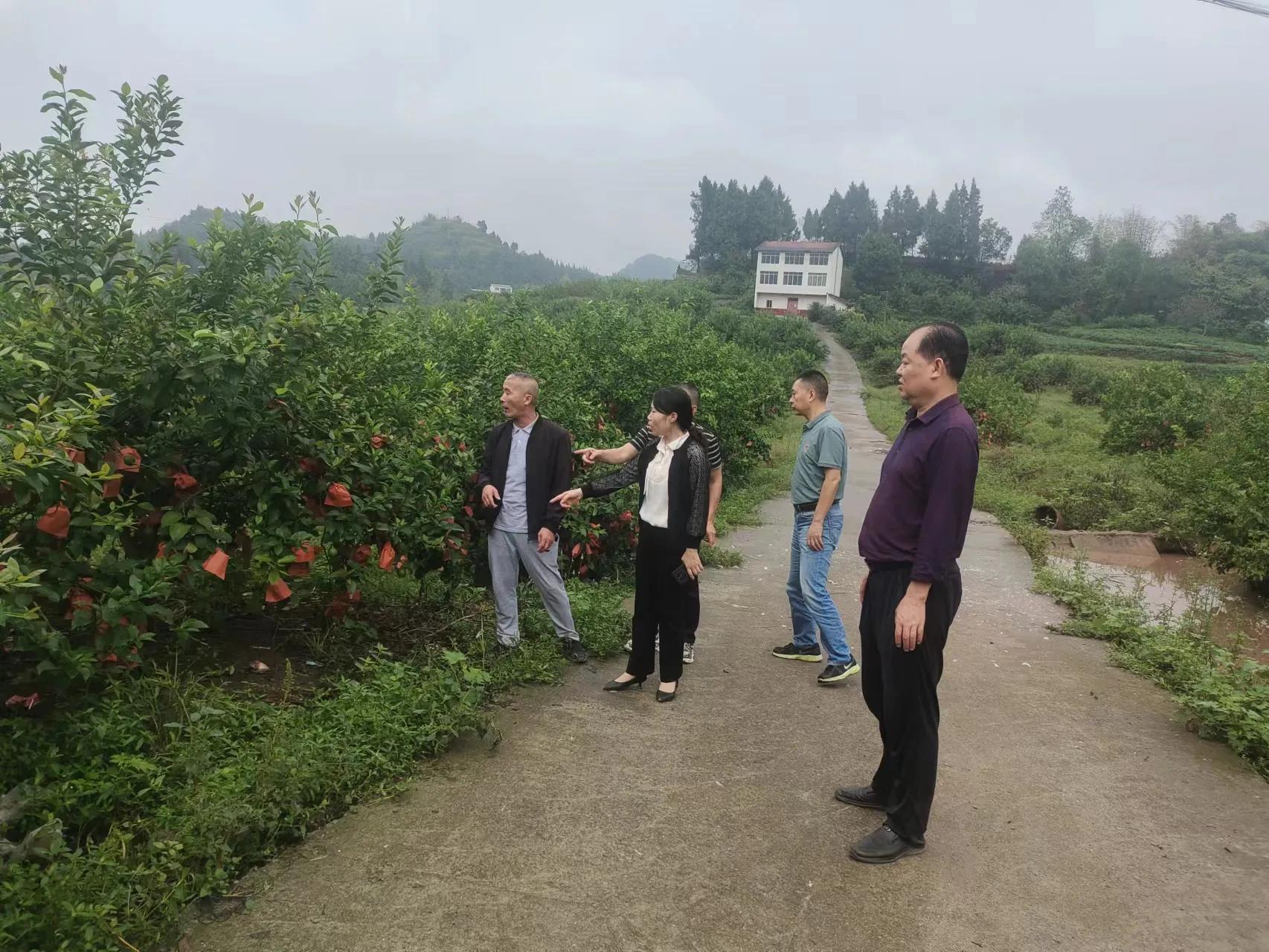 王朝霞到四川国沃希隆、四川硕源等农业公司基地调研