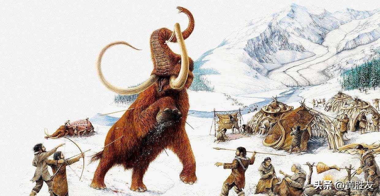 猛犸象制成肉丸,已灭绝猛犸象dna被培育制成肉丸