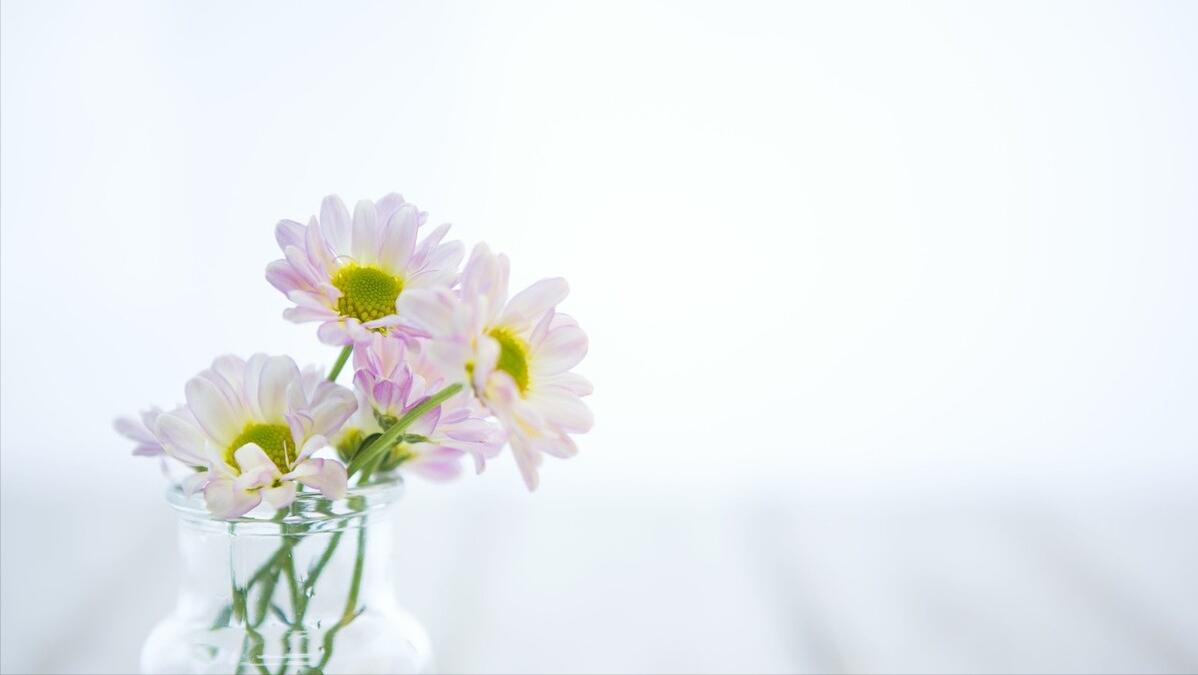 每日30分钟晨间日记,晨间日记视频