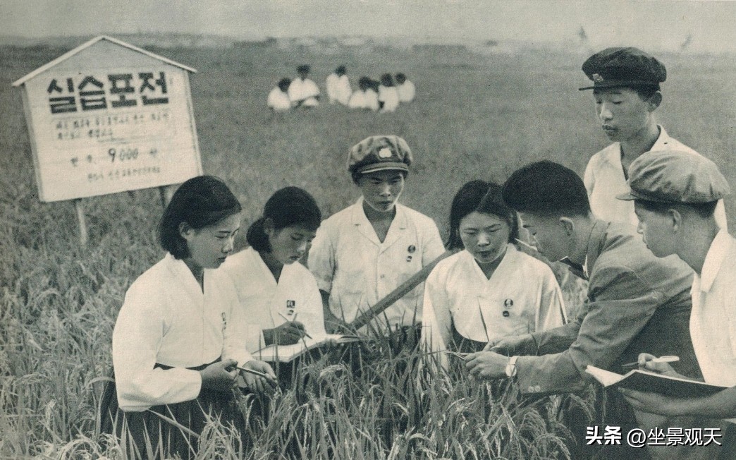 朝鲜首都平壤人生活,朝鲜平壤居住的都是什么人