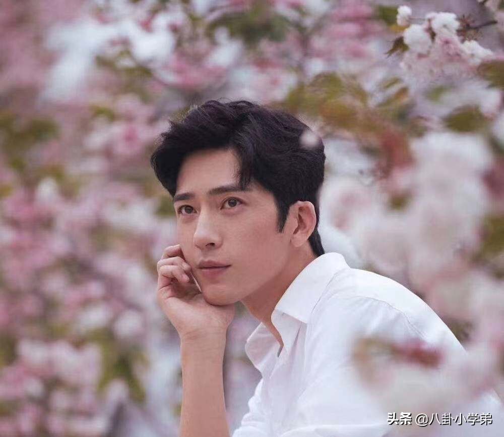 清秀脱俗的男生,清秀的男明星