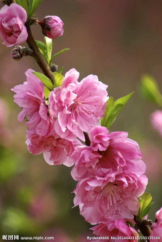 小姨子总是借钱该借吗,小姨子哭着来借钱