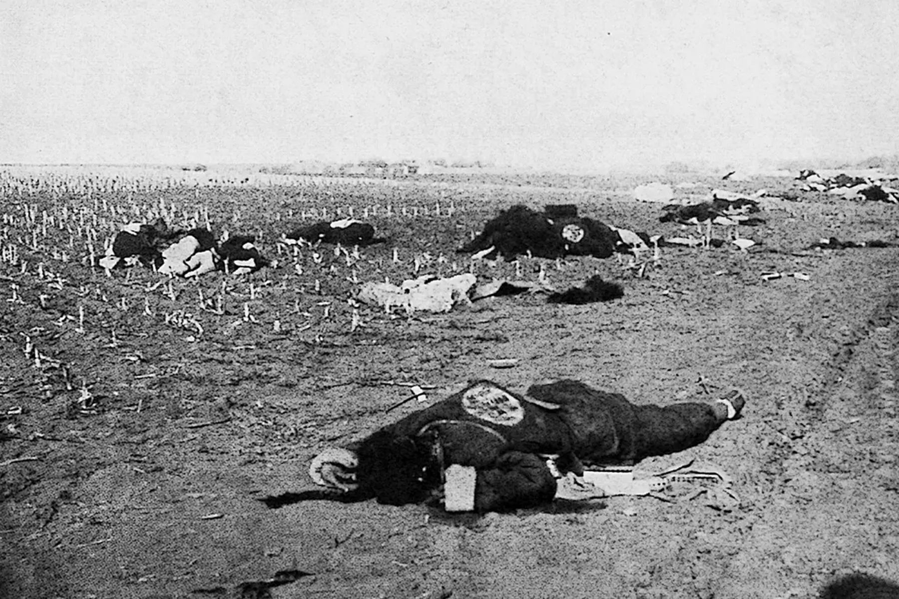 汉奸张本政怎么被抓的,张本政得到哪个天皇接见