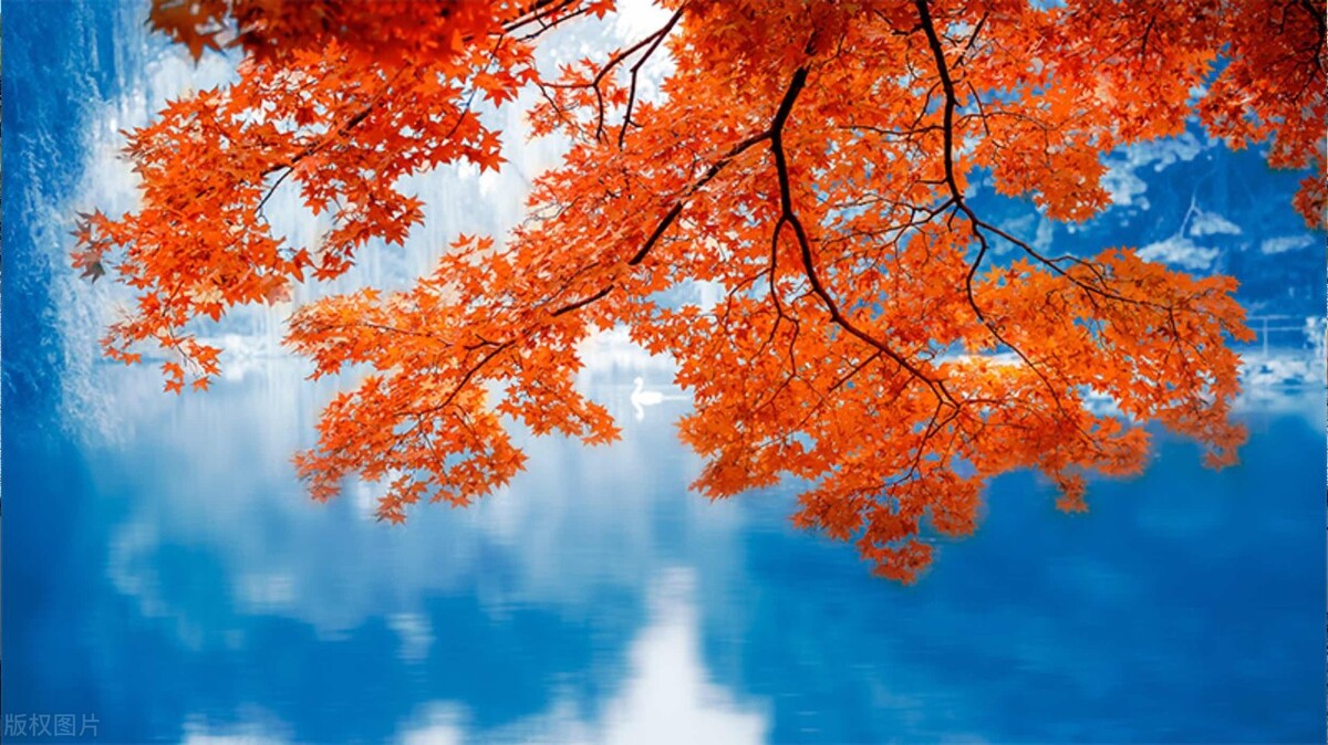 旅行的绝美文案治愈系,五一旅行朋友圈文案