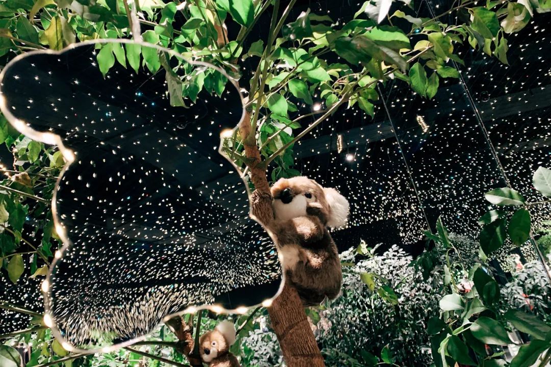 歌莉娅品牌的设计理念,歌莉娅品牌文化与浪漫情怀