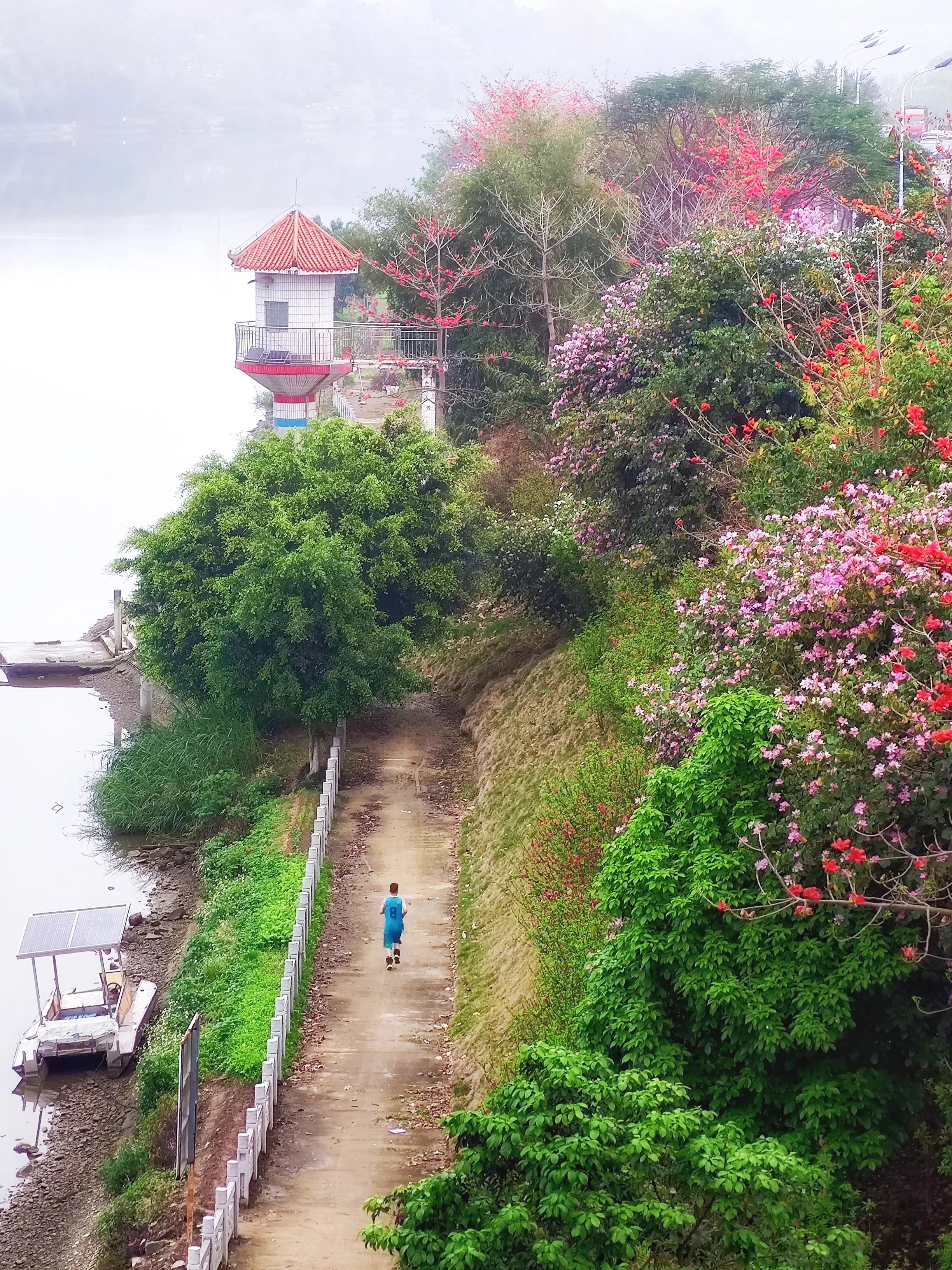 手拍世界近期作品,手拍世界完整版视频
