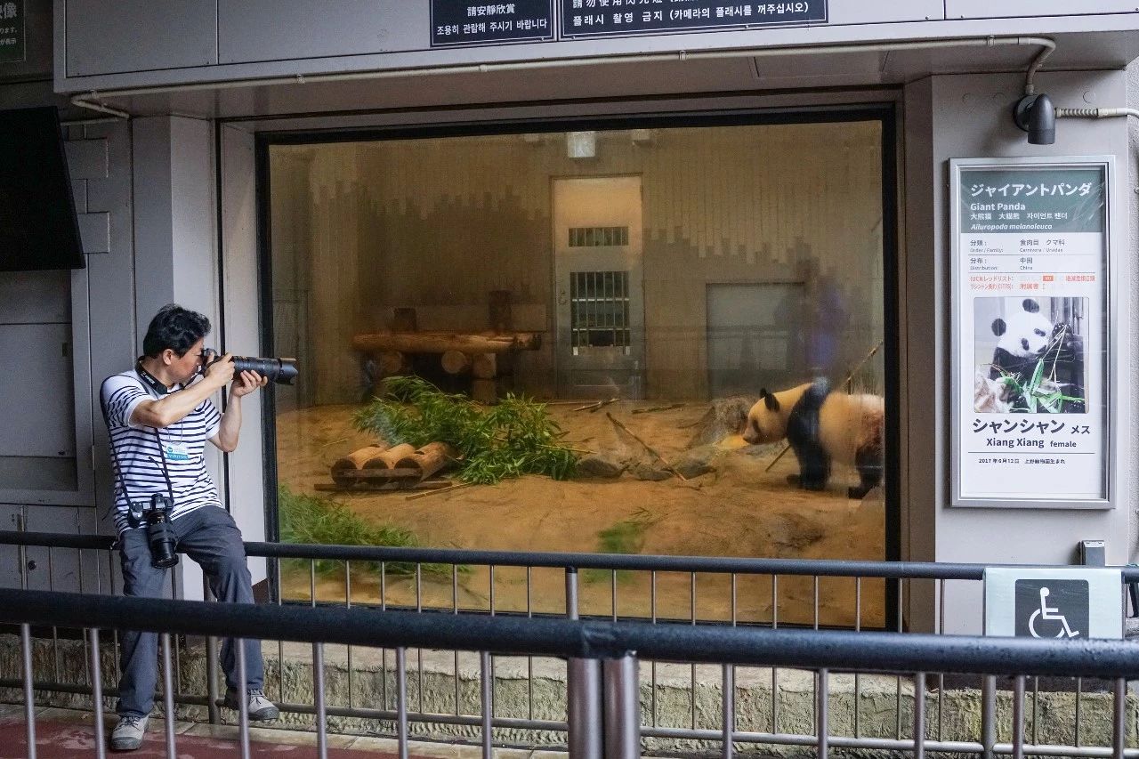 8个小时，他为“香香”按下了2000多次快门