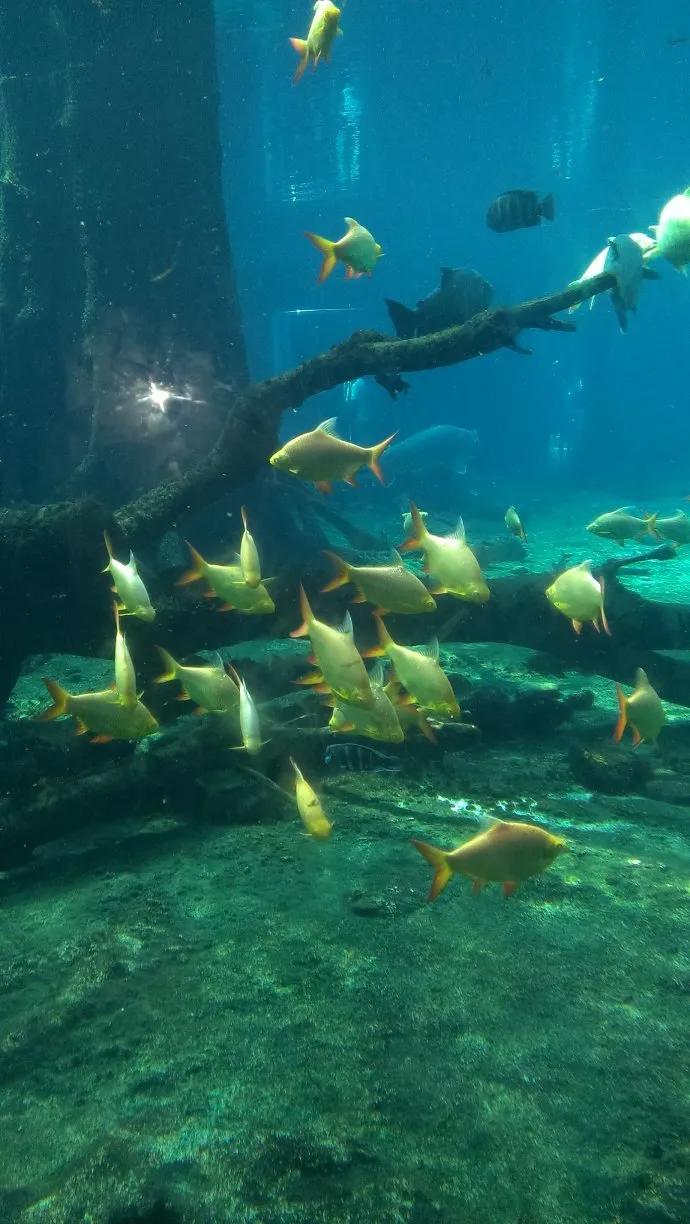 蓝色海景壁纸图片大全,海景壁纸4k超清全面屏