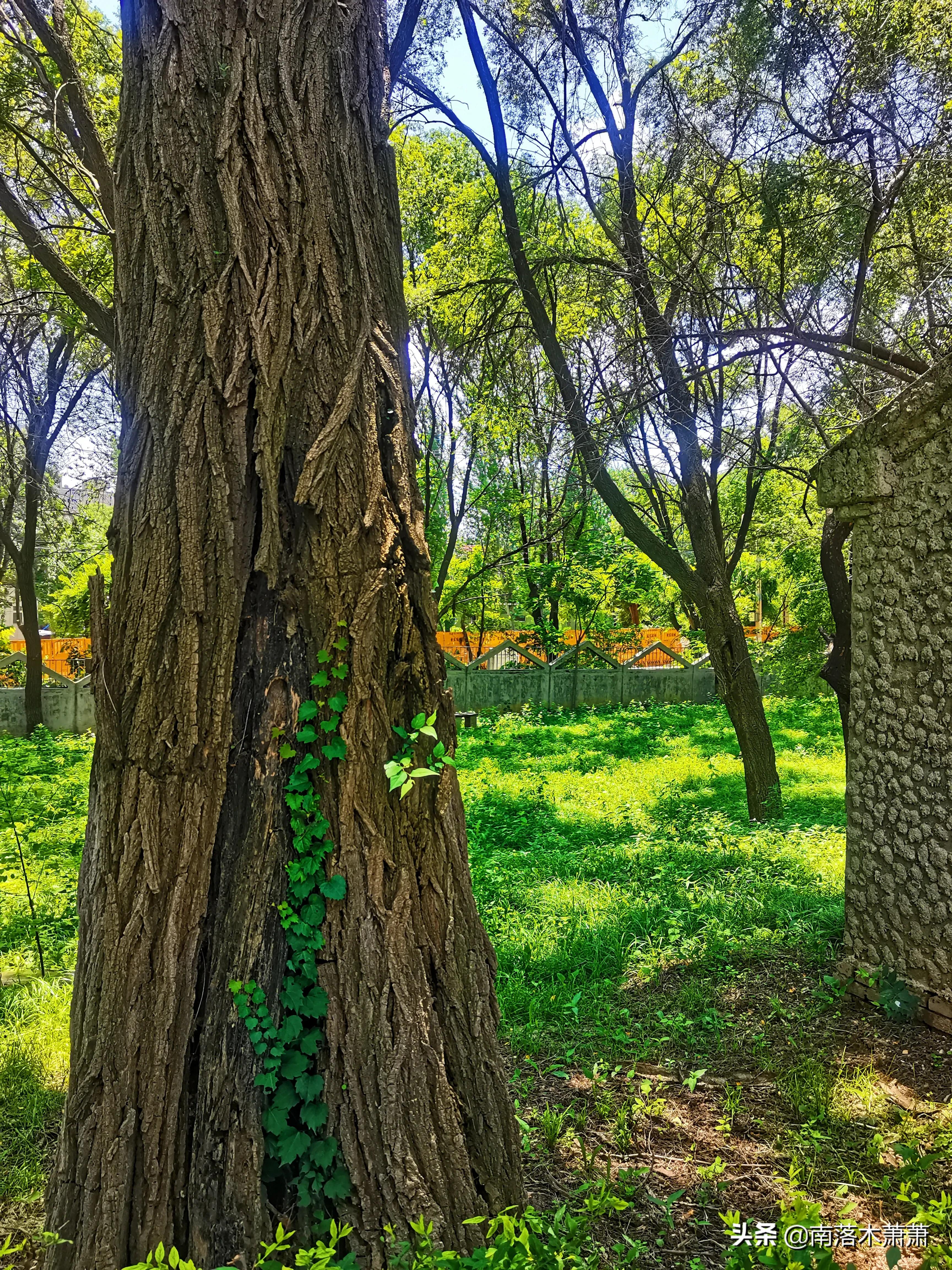 沈阳皇姑新乐遗址,参观沈阳新乐遗址博物馆