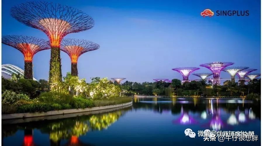 新加坡干货大全,新加坡旅游签证转工作签证