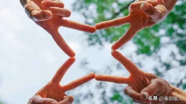 团队的建设与打造,论团队建设和战斗力