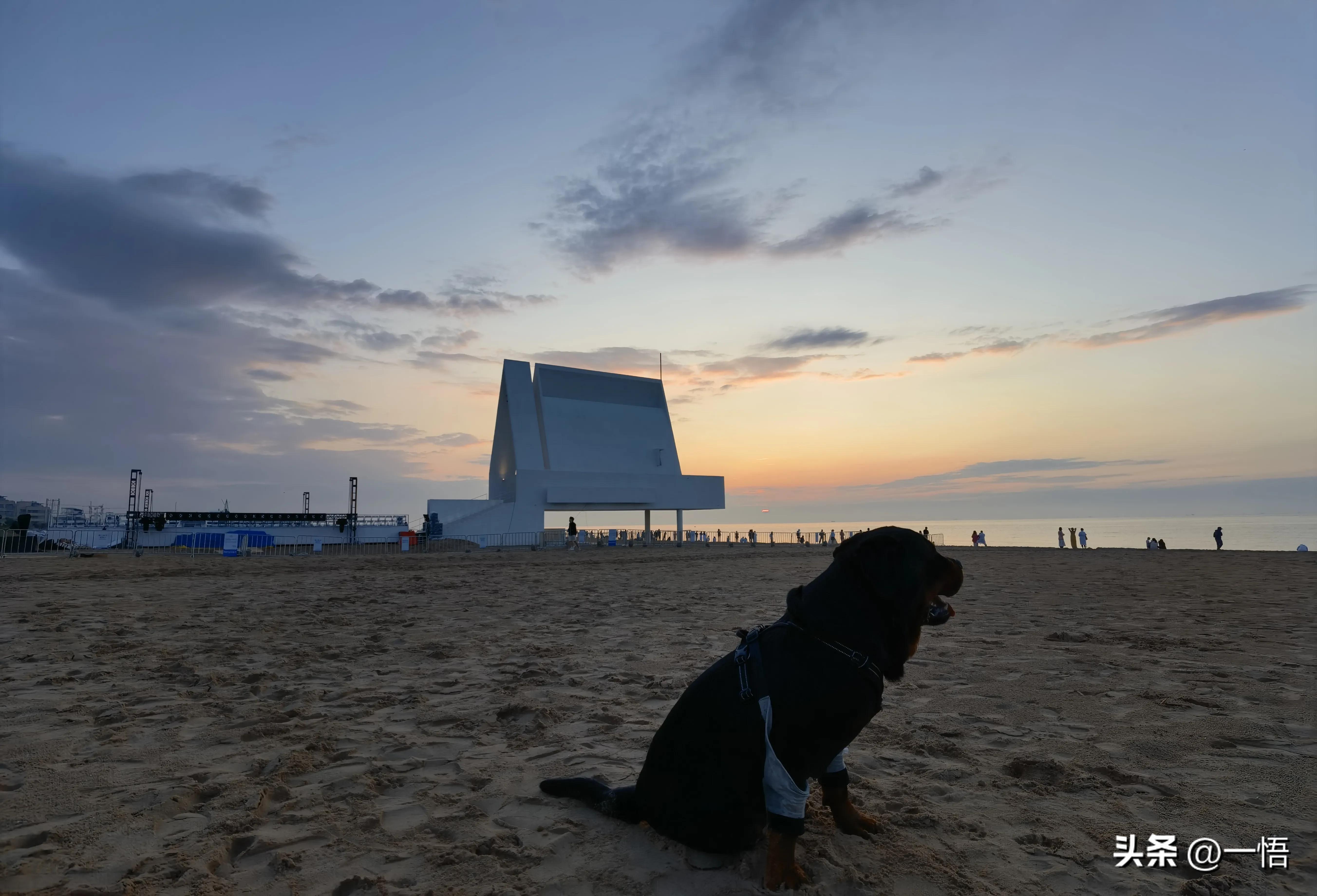 2023上海到秦皇岛承德十日游第四天：看阿那亚的海，逢犬舍的安娜