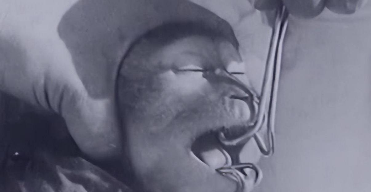 为什么日本人要杂交胚胎实验,日本人的杂交实验成功了吗