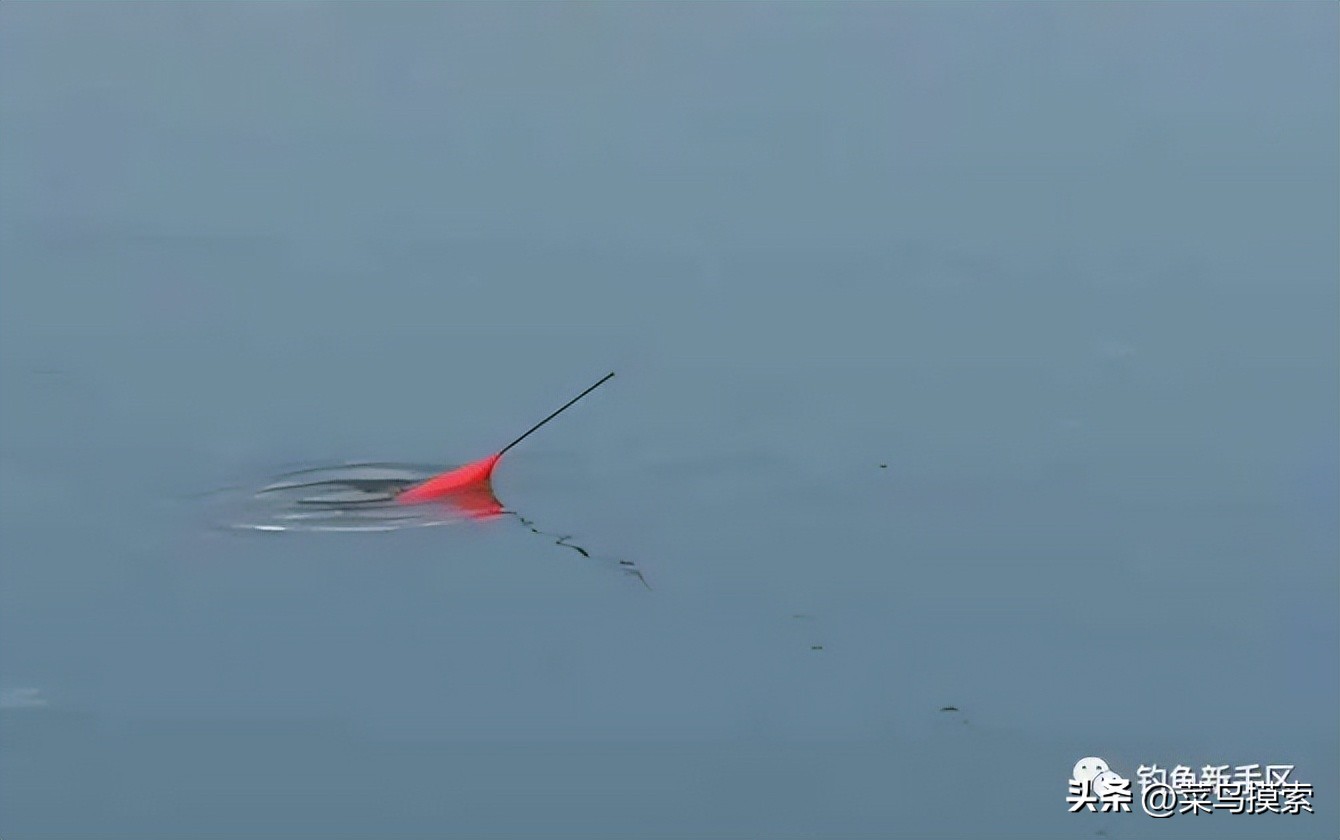 鱼漂的调法图解视频,鱼漂的调法图解初学