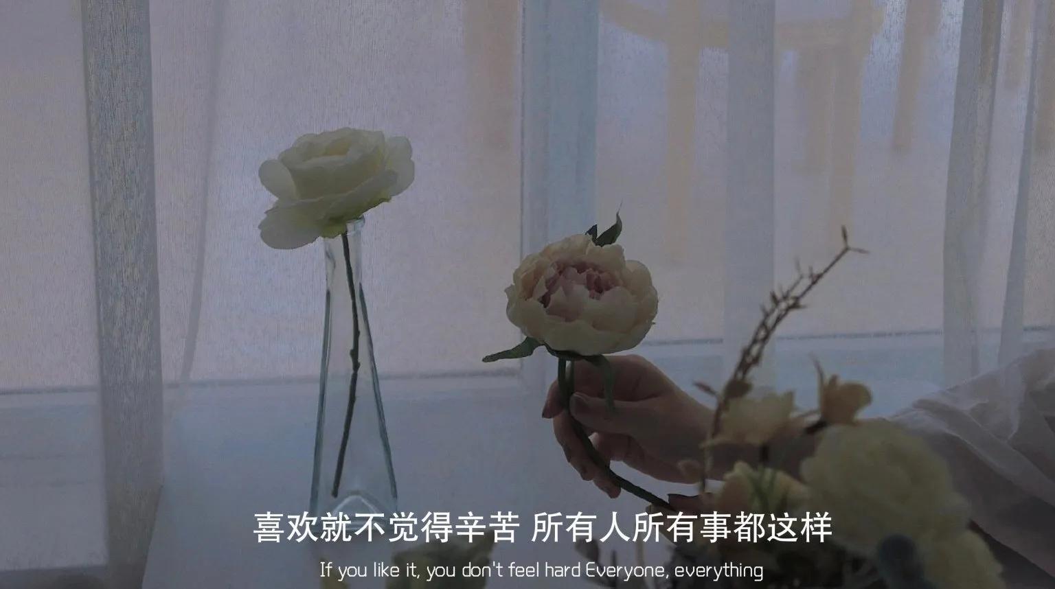 虞书欣文字控背景图,文字控背景图大全简约