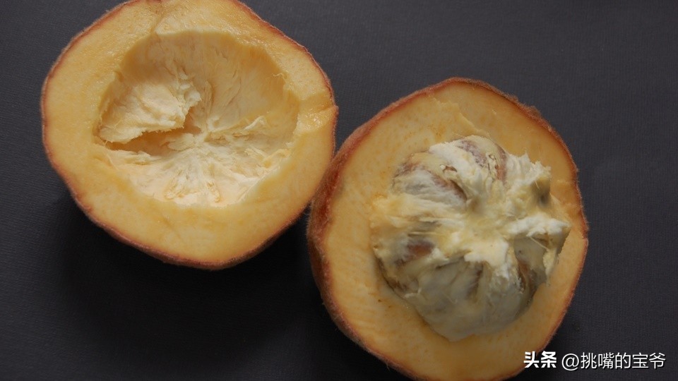 带毛的猕猴桃硬的可以吃吗,无毛猕猴桃野生